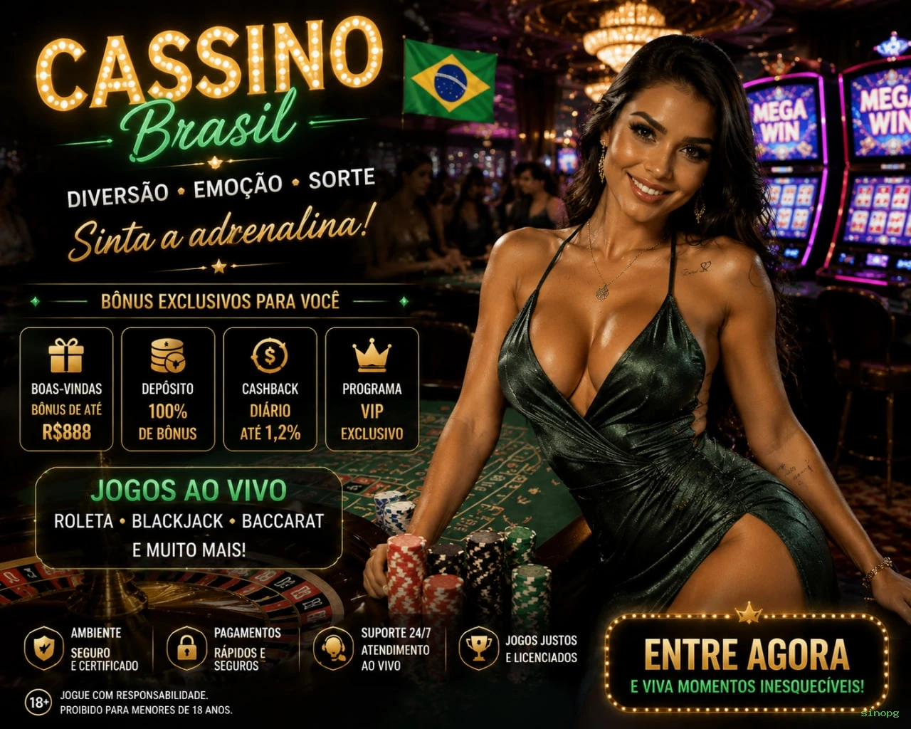 Configurações úteis dentro do app sinopg